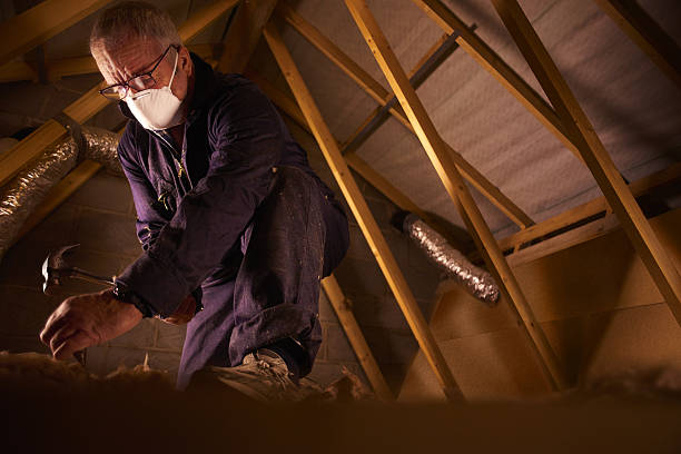 Best Specialized Insulation Services in Magalia, CA