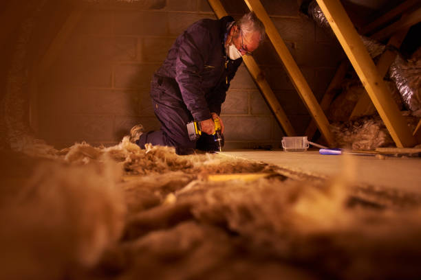 Best Eco-Friendly Insulation in Magalia, CA